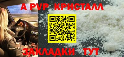 шишки Боровичи