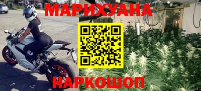 шишки Боровичи