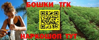 шишки Боровичи